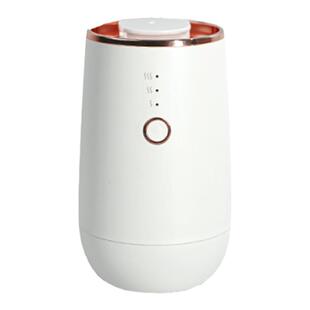 多特瑞纯真沁绿香薰机精油专用香薰机高级扩香器家用生日礼物