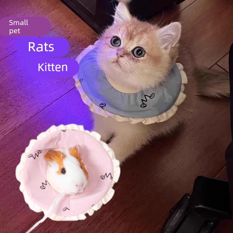 宠物伊丽莎白圈幼猫荷兰猪防咬防舔耻辱圈龙猫兔子仓鼠头套项圈软