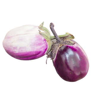 罗莎比安卡茄子种子紧实高产甜美无苦味传家宝春秋室内阳台盆栽