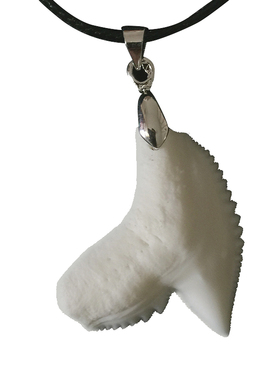 手工天然情侣原创牙齿礼物吊坠