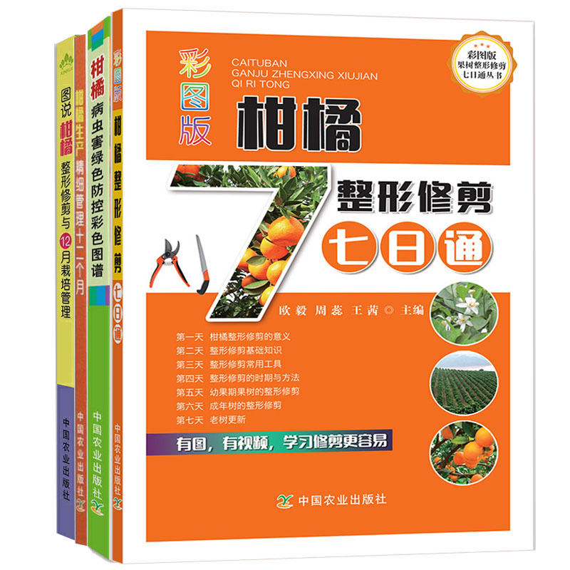 柑橘种植技术书籍4册  果树橘子桔子修剪农业种植管理技术高效栽培大全书病虫害防治生产精细管理十二个月绿色防控彩色图谱七日通