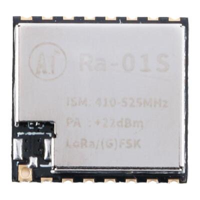 Ra-01S/无线模块SPI接口