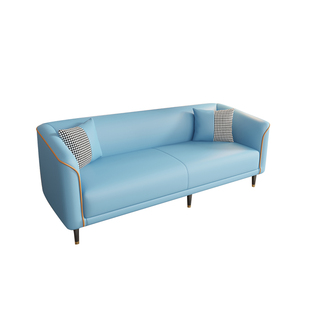 科技布沙发小户型简约现代客厅卧室出租房公寓双人三人位免洗沙发