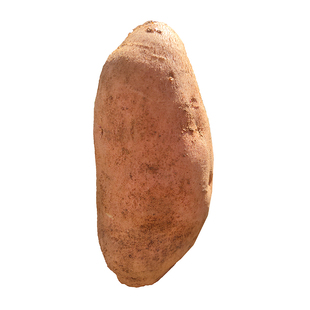 卢龙黄皮黄心新鲜红薯沙地地瓜农家自种番薯黄瓤地瓜北京红蜜薯