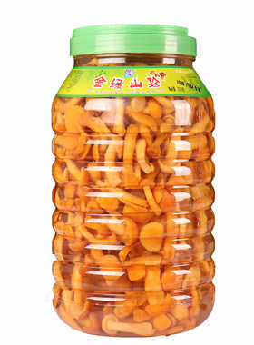 滑子菇3500g清水新鲜山珍菌桶装