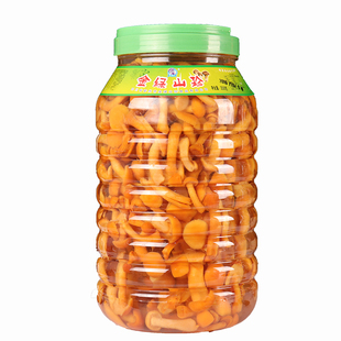 滑子菇3500g清水食用菌新鲜滑菇滑子蘑山珍菌珍珠菇桶装火锅菌汤