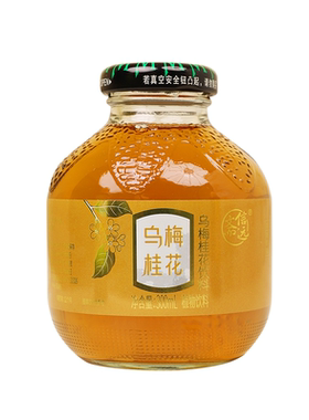 信远斋乌梅系列饮料300ml*12瓶