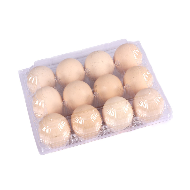 塑料透明鸡蛋托2枚中号一次性土野餐篮/鸡蛋蓝/食品