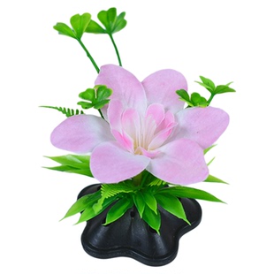 仿真杨兰花荷兰芹酒店冷菜刺身宴席餐饮摆盘装饰摆件盘饰围边火锅