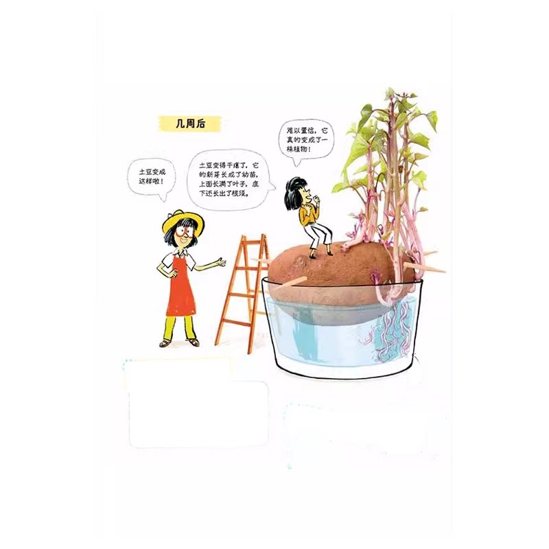 浪花朵朵正版我家的科学实验室全套8册6-9岁百科全书小学生正版80个小实验 亲子手工儿童科学实验 儿童科普百科