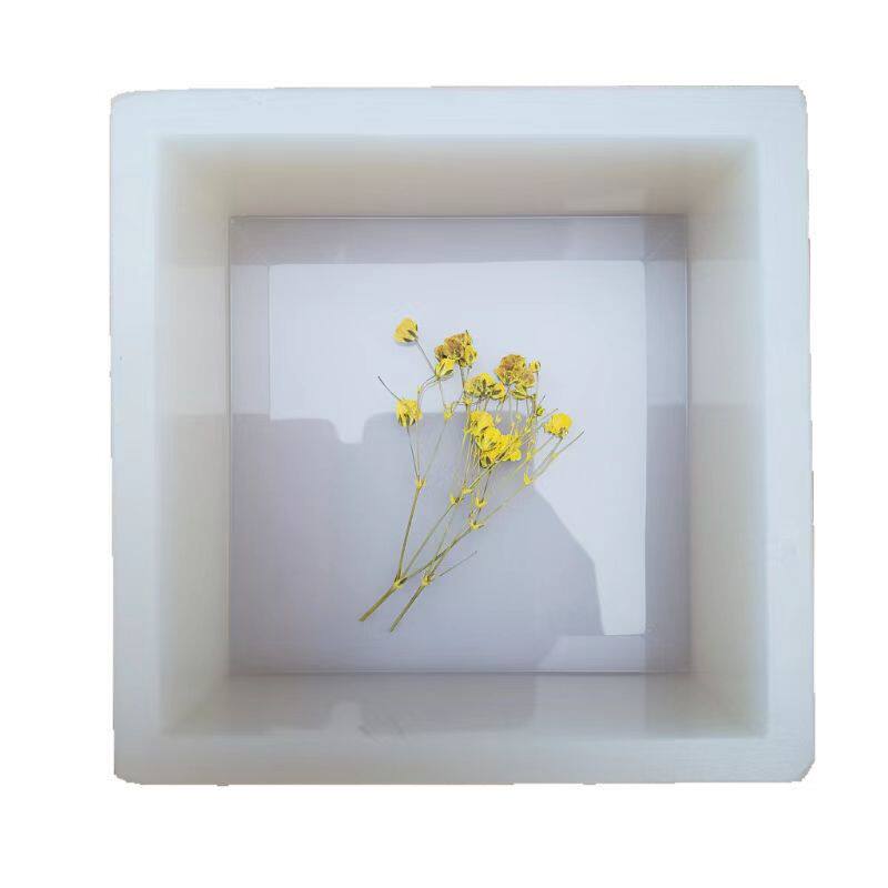 标本制作干花工艺品模型硅胶模具