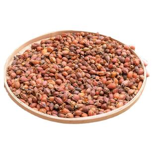 野生老品种山栀子500g农家生晒小个黄栀子果黄枝子栀子茶栀子干货