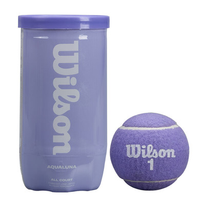 Wilson网球彩色趣味比赛训练球25新款有压网球2颗装网球礼物
