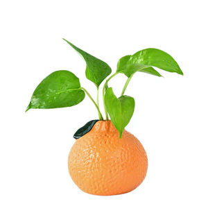 橘子小花瓶摆件艺术客厅插花水培植物鲜花绿萝情绪稳定桌面装饰品