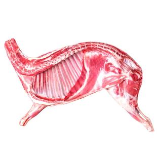 新鲜羊肉新鲜半只羊10斤乳羔羊后腿羊肋排冷冻羊蝎子火锅食材