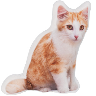 来图定制猫狗抱枕人物照片卡通动漫宠物刺猬鸟鱼兔3D仿真抱枕订做