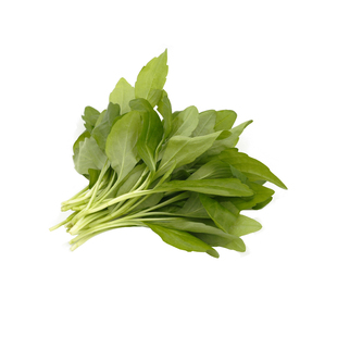 新鲜马兰头500g 鸡儿肠山坡菜上海金山本地农家蔬菜红梗野菜凉拌