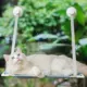 Обновить синий однослой