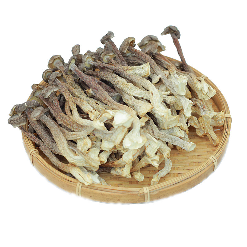 鹿茸菇新货500g香菇类干货营香菇类