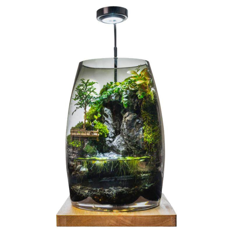 丘辰苔藓微景观养鱼生态瓶办公桌面摆件客厅造景小盆栽生日礼物