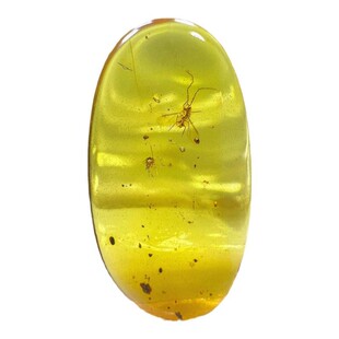 原矿纯天然缅甸琥珀原石虫珀介壳虫白垩纪昆虫收藏级化石标本吊坠
