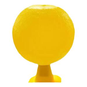 果蝇苍蝇飞虫克星强力效粘虫球纸水果店厨房神器室内蚊子诱捕虫子