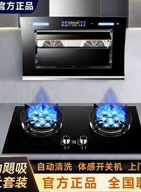 正品新飞油烟机抽油烟机厨房家用大吸力出租房猛火燃气灶烟灶套装