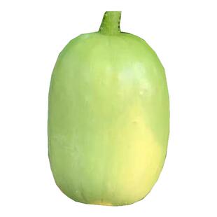 玉女水果黄瓜种子脆甜拇指小黄瓜种籽四季秋阳台盆栽易种蔬菜种孑