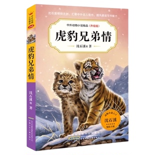 虎豹兄弟情沈石溪中外动物小说故事书小学生课外阅读书籍新华书店