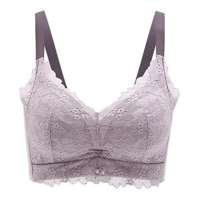 芬腾性感无钢圈棉聚拢文胸