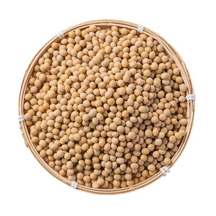 2025年黄豆新货500g袋装杂粮正宗农家老品种生豆芽打豆浆豆子杂粮