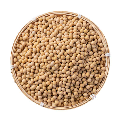 2025年黄豆新货500g袋装杂粮正宗农家老品种生豆芽打豆浆豆子杂粮