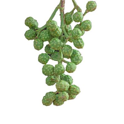 火锅藤椒新鲜花椒鲜花椒四川特产