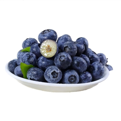 云南高山精品蓝莓鲜果当季蓝莓高山花香新鲜水果现摘整箱
