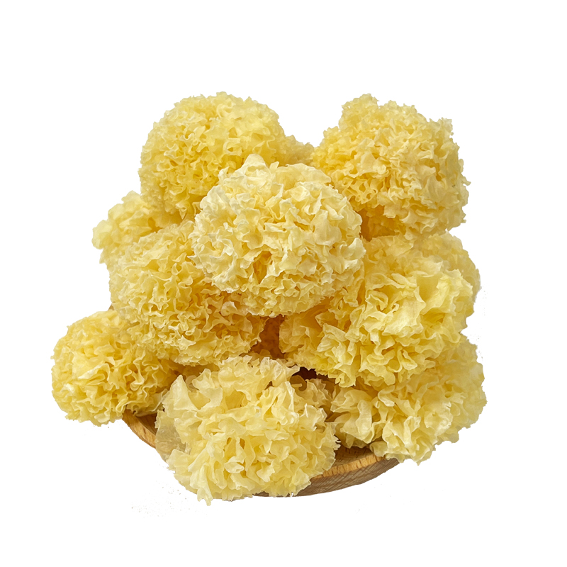 长白山椴木小银耳无根特级干货无硫白木耳丑耳易煮多胶新货雪耳