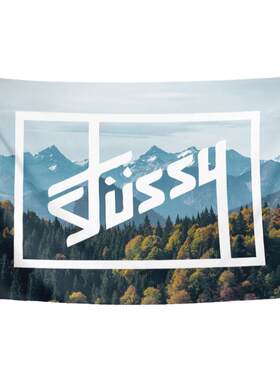STUSSY美国街头潮牌同款背景布