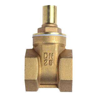 利水内三角阀门钥匙扳手自来水表前闸阀4分DN15PPR内螺纹丝扣20