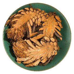 贯众中药材500g包邮正品贯节贯渠新鲜干货无硫百头虎卷黑狗脊贯仲