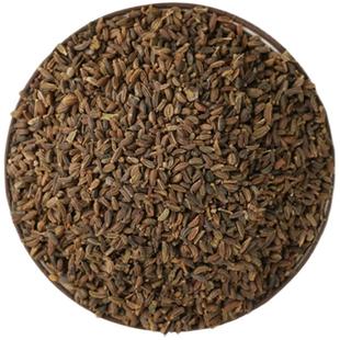 中草药柴胡种籽优质柴胡种子四季黑柴胡种植苗31号黄柴胡籽可套种