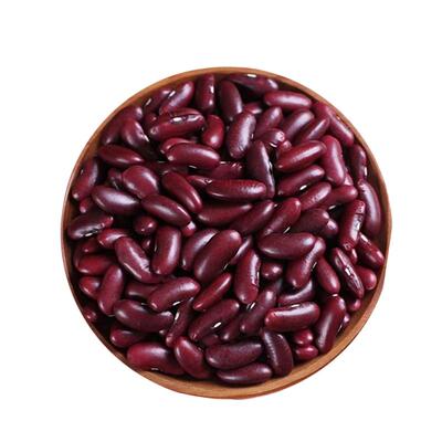 红芸豆腰豆新货干货扁豆大红豆五谷杂粮粗粮农家自产煲汤煮粥特产