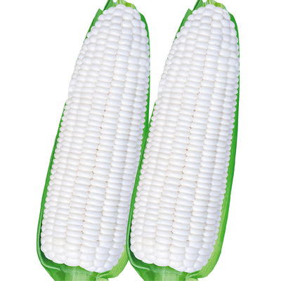 雪甜7401珍珠牛奶白水果玉米种子