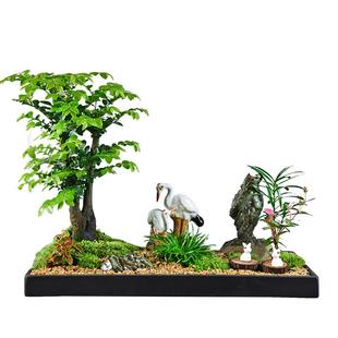 小叶紫檀盆景老桩办公室内外客厅四季常青树苗阳台盆栽室内好养