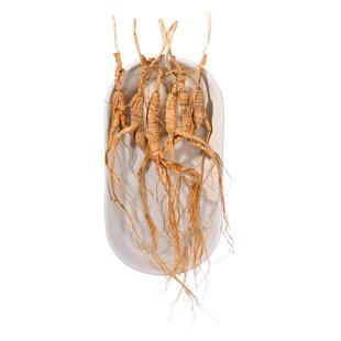 【福利】东北长白山林下干参非野山参籽儿货老山参泡酒炖汤