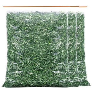 正宗茶叶绿茶2025新茶毛尖浓香耐泡高山信阳春茶自己喝嫩芽明前