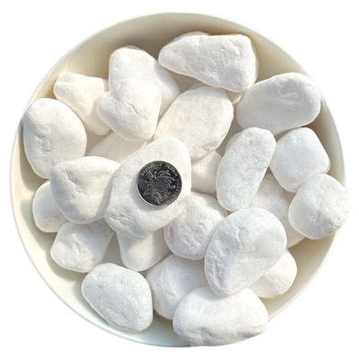 庭院造景鱼缸鹅卵石白石子