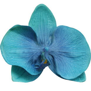 新款沙滩度假波西米亚蝴蝶兰边卡胸针手链饰品头饰女头花螺旋簪子