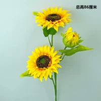 2 Цветок 1 подсолнуха