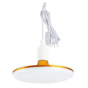 家用LED插座灯泡带线插头开关超亮简易插电灯直插悬挂式节能吊灯