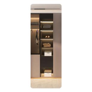 家用ins风全身镜女生卧室女生卧室网红落地镜挂墙化妆异形镜子