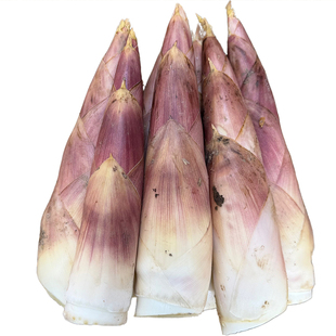 2026嫩芽笋临安天目雷笋新鲜现挖短粗矮胖天目春笋竹笋高山雷竹笋